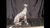 Art Deco Silver Bronze Cheetah Cat Statue