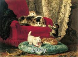 Art Wall Home Decor Animal Cats Kittens Oil Painting Picture Printed On Canvas