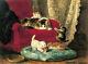 Art Wall Home Decor Animal Cats Kittens Oil Painting Picture Printed On Canvas