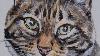 Bort Tabby Cat Watercolor Pet Portrait Art Painting How To Process Tutorial Art Gallery