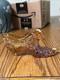 Carnival Glass Fenton Stamped Hand Painted And Signed Smith Cat Head Slipper