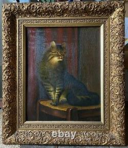 Emmenegger Oil Painting 1932 Magnificent Frame ° Cat on A Chair Antique