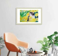 Hand Made Water Color On Paper Art Decoration Propylene Chrysanthem Cat Painting