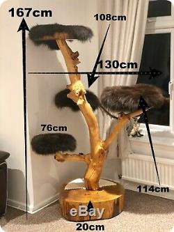 Handmade Bespoke Multi Cat Tree SOLID OAK AND APPLE WOOD