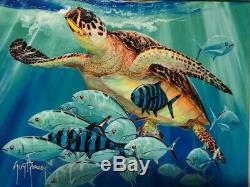 Hawskbill Caravan Guy Harvey 2016