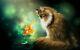 Home Art Wall Decor Cats Fish Animals Fantasy Painting Picture Printed On Canvas