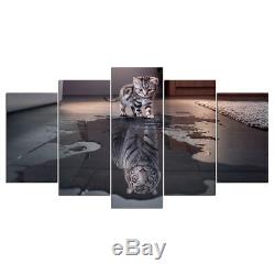 Kitten Cat Tiger Reflection Water 5 Pieces canvas Wall Art Picture Home Decor