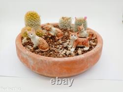 Lot of 4 miniature Kitten Cat ceramics figurine animals porcelain valentine gift