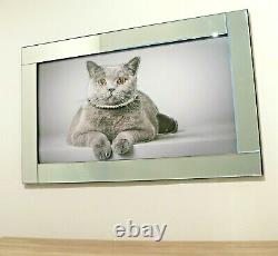 Mirror Frame Cat Picture with Glitter Liquid Crystal Glass Wall Art 100x60cm