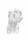 New Lalique Crystal Kitten Sculpture Clear #10733300 Brand Nib Cute Save$$ F/sh