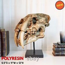 Prehistoric Animal Replica Sabertooth Tiger Cat Fossil Skeleton Skull Sculpture