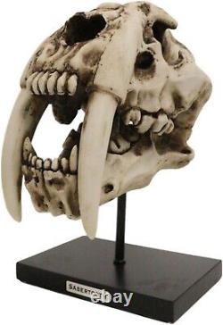 Prehistoric Animal Replica Sabertooth Tiger Cat Fossil Skeleton Skull Sculpture
