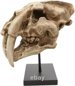Prehistoric Animal Replica Sabertooth Tiger Cat Fossil Skeleton Skull Sculpture