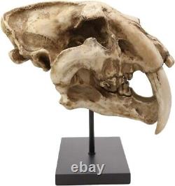 Prehistoric Animal Replica Sabertooth Tiger Cat Fossil Skeleton Skull Sculpture