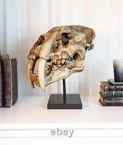 Prehistoric Animal Replica Sabertooth Tiger Cat Fossil Skeleton Skull Sculpture