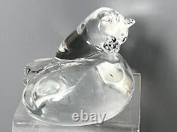 RARE Baccarat Crystal Reclining Cat Grooming 5 L. Figurine Paperweight Signed