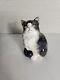 Royal Doulton Black White Seated Persian Cat Hn 999 England Bone Chine Figurine