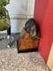 Set Vintage Decorative Crafts Inc 2 Solid Heavy Brass Cat Bookend 7tall Deco