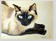 Siamese Cat 2, Pet, Animal, Original Watercolor Painting, Signed, Wall Art Deco