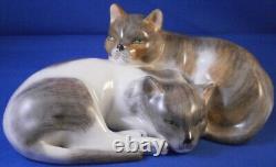 Superb Dresden Porcelain Cats Cat Figurine Figure Porzellan Figur Katze German