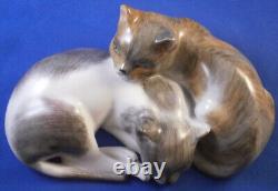 Superb Dresden Porcelain Cats Cat Figurine Figure Porzellan Figur Katze German