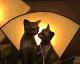 Twin Cat Art Deco Table Lamp Light With Amber Glass Will Ship Australia Wide