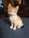 Vintage Hutschenreuther Kunstabteilung Selb Porcelain Sitting Cat Figure Us Zone