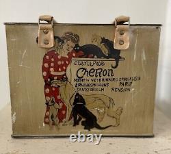 Vintage art deco hand painted French tin shopping box/bag with vet, dogs & cats