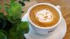 Cat Latte Art