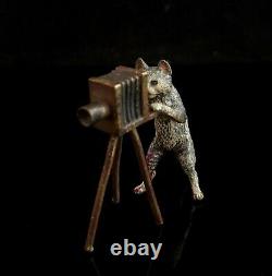 Chat Et Appareil-photo Antiques De Bronze, Bergman, Chat Anthropomorphe