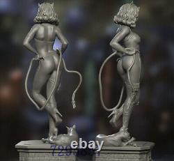 Femme chat Figure 3D en impression avec modèle non peint Sculpture GK Kit vierge Nouveau en stock