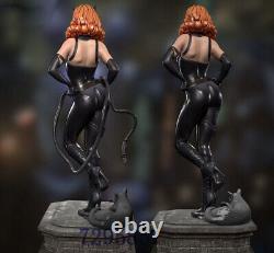 Femme chat Figure 3D en impression avec modèle non peint Sculpture GK Kit vierge Nouveau en stock