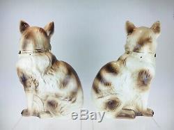 Grande Paire D'art Déco Écossais Bo'ness / Staffordshire Style Cat Figurines 1908