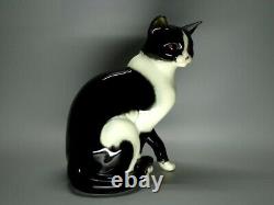 Rare Vintage Porcelaine Mignon Cat Figurine Goebel Allemagne 1955-75 Céramique Art Décor