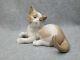 Statuette Vintage En Porcelaine Lladro Représentant Un Chat, Marquée Espagne Déco