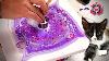 Superbes Camées De Violettes Par Piper Le Chat - Tutoriel De Peinture Acrylique Coulée Et Art Abstrait