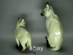 Vintage Siamois Chats Original Hutschenreuther Figurine De Porcelaine Sculpture D'art